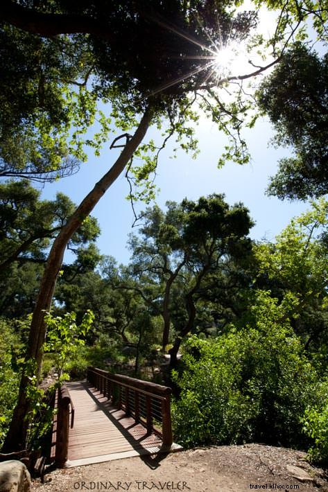 Top Things to Do in Santa Barbara: Insider Guide from a Local Enthusiast