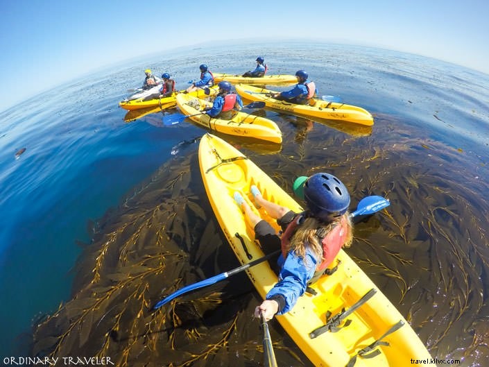 Top Things to Do in Santa Barbara: Insider Guide from a Local Enthusiast