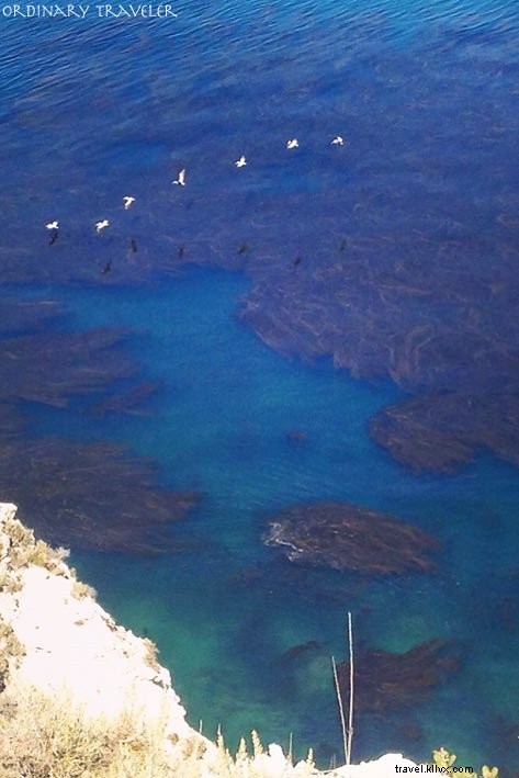 Top Things to Do in Santa Barbara: Insider Guide from a Local Enthusiast