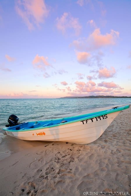Top 10 Must-Do Activities in Trinidad & Tobago: A Traveler s Insider Guide