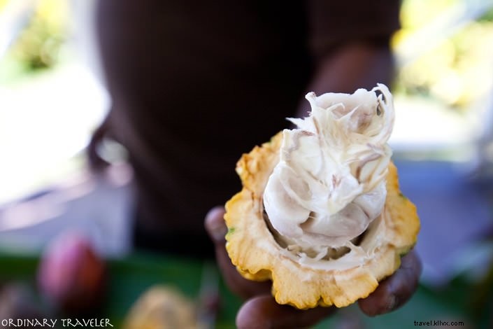 Top 10 Must-Do Activities in Trinidad & Tobago: A Traveler s Insider Guide