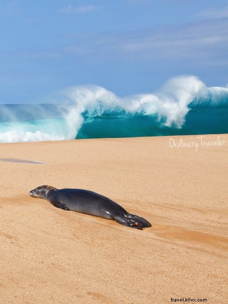 Molokai: Discovering the Authentic, Untouched Hawaii