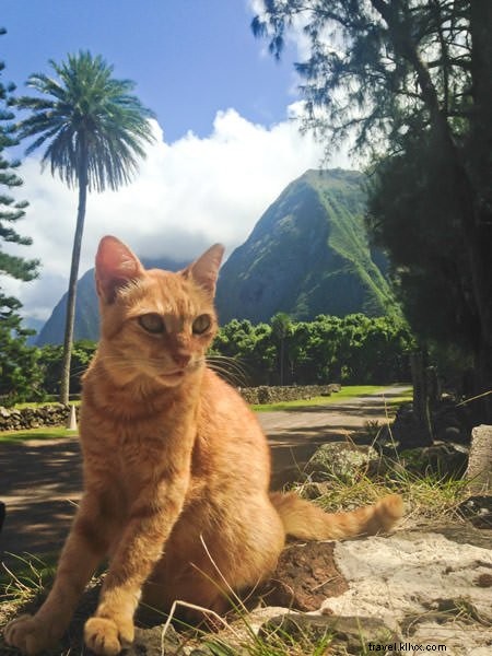 Molokai: Discovering the Authentic, Untouched Hawaii