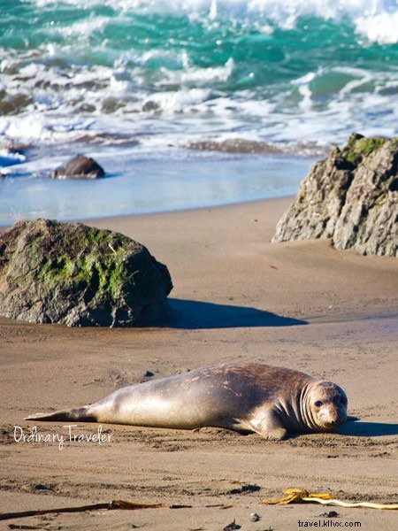 California Hwy 1 Discovery Route: Ultimate Itinerary for Wine and Craft Beer Lovers