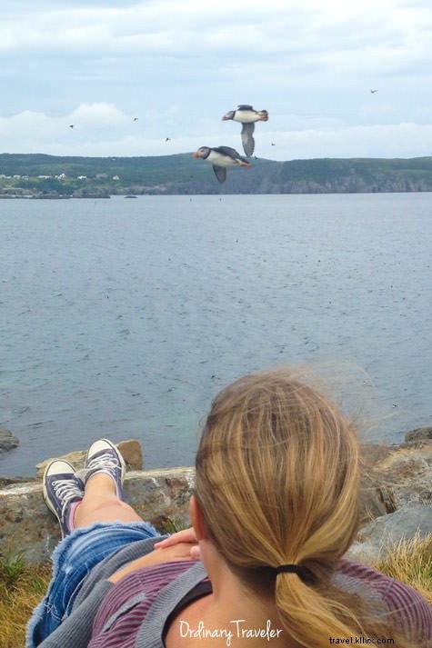 Reflecting on 2014: Our Top Travel Adventures and Unforgettable Moments