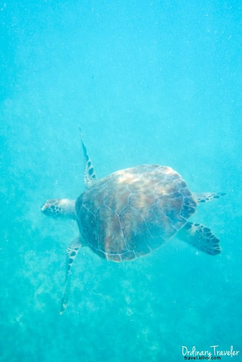 Reflecting on 2014: Our Top Travel Adventures and Unforgettable Moments