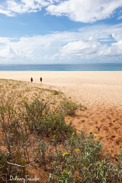 Molokai: An Island Defined by Deep Love for Land, Culture, and Community