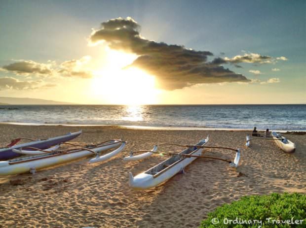 Top 5 Must-Try Water Adventures in Maui: Surfing, Snorkeling & Whale Watching