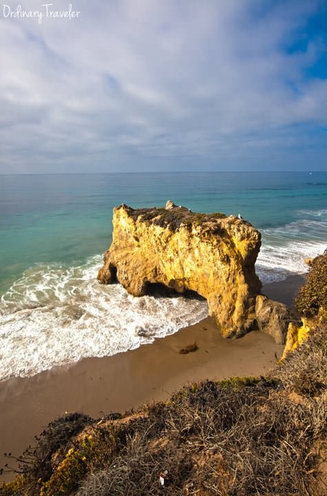 Welcome to Our New WordPress Website: The Story Behind Our Blog Hiatus and Migration Challenges