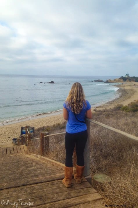 Welcome to Our New WordPress Website: The Story Behind Our Blog Hiatus and Migration Challenges