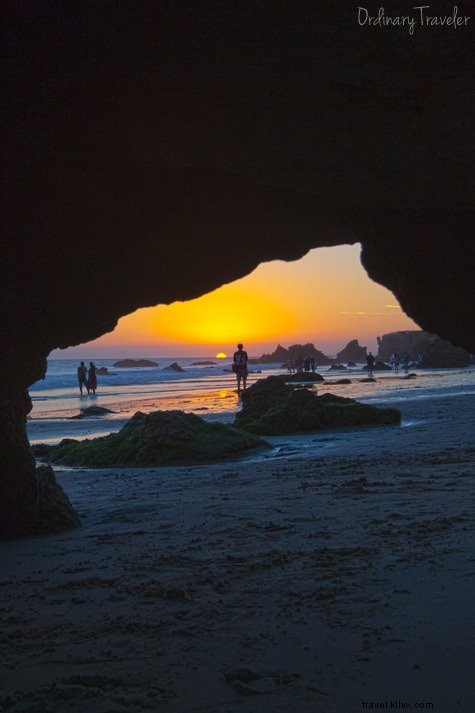 Welcome to Our New WordPress Website: The Story Behind Our Blog Hiatus and Migration Challenges