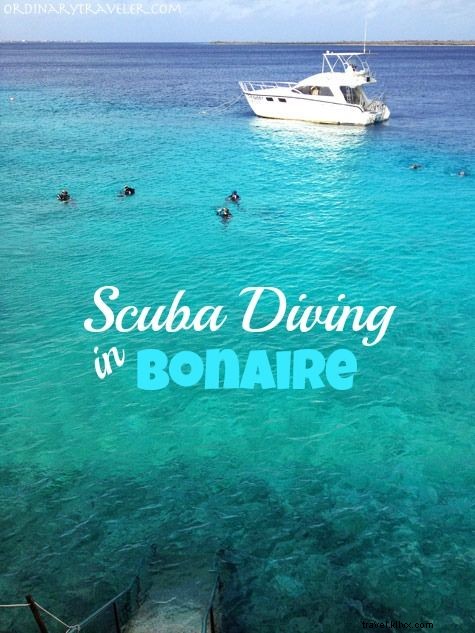 My First Scuba Certification in Bonaire: Overcoming Fear at Buddy Dive Resort
