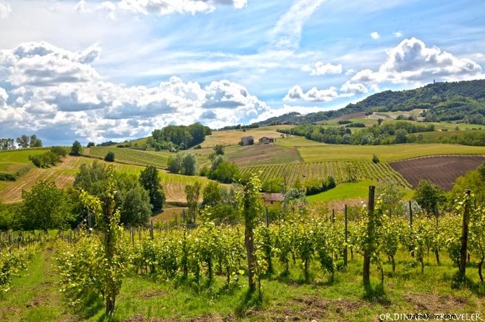 Discovering Medieval Castles and Vineyards in Emilia Romagna: A Day Trip from Bologna