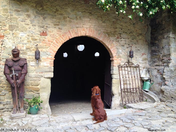 Discovering Medieval Castles and Vineyards in Emilia Romagna: A Day Trip from Bologna