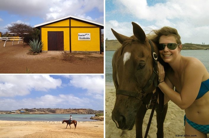 Bonaire: An Unforgettable Scuba Diving Paradise and Island Adventure