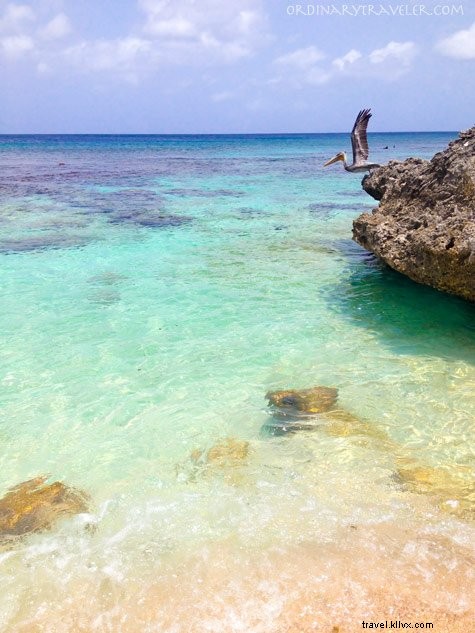 Bonaire: An Unforgettable Scuba Diving Paradise and Island Adventure