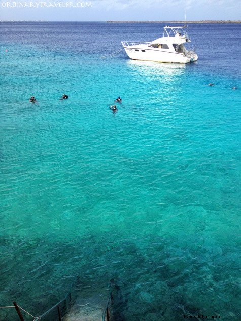 Bonaire: An Unforgettable Scuba Diving Paradise and Island Adventure