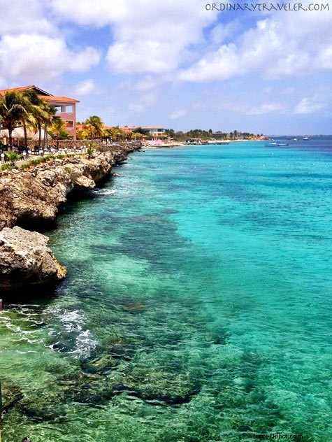 Bonaire: An Unforgettable Scuba Diving Paradise and Island Adventure