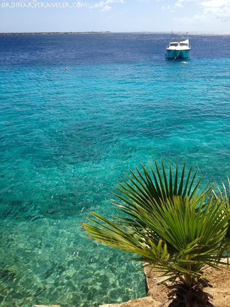 Bonaire: An Unforgettable Scuba Diving Paradise and Island Adventure