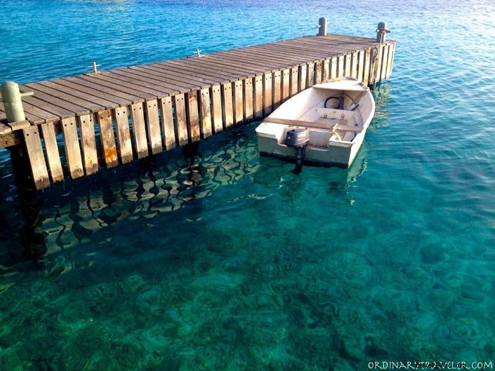 Bonaire: An Unforgettable Scuba Diving Paradise and Island Adventure