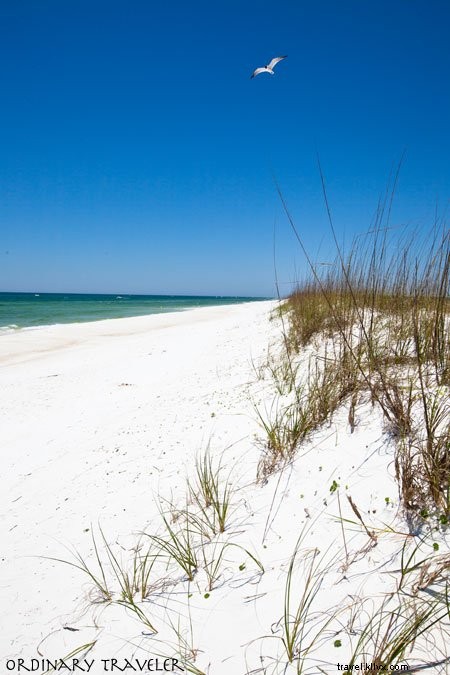 Stunning Panama City Beach: Photos of Dolphins, Shell Island, and Pristine Shores