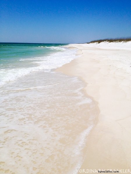 Stunning Panama City Beach: Photos of Dolphins, Shell Island, and Pristine Shores