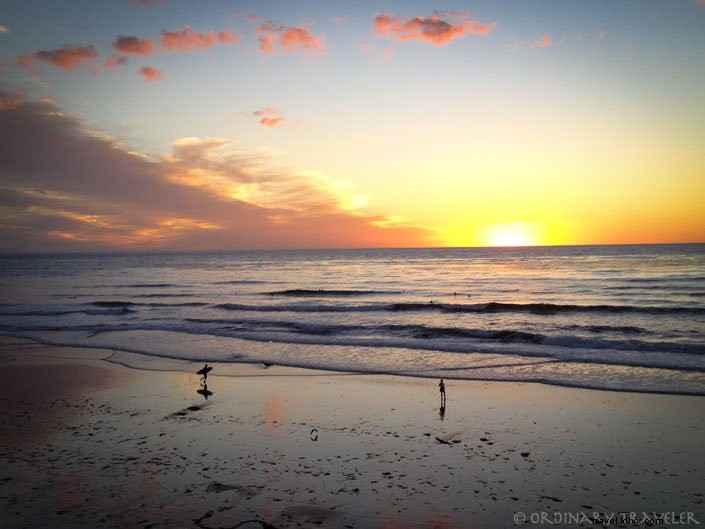 Ultimate Summer Bucket List: 10 Ocean Adventures for an Unforgettable Season