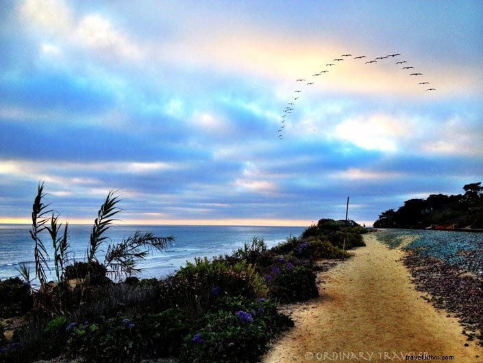 Ultimate Summer Bucket List: 10 Ocean Adventures for an Unforgettable Season