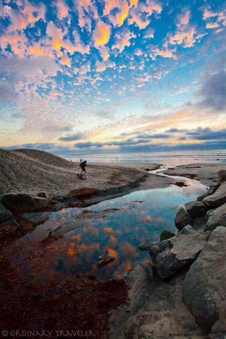 Ultimate Summer Bucket List: 10 Ocean Adventures for an Unforgettable Season