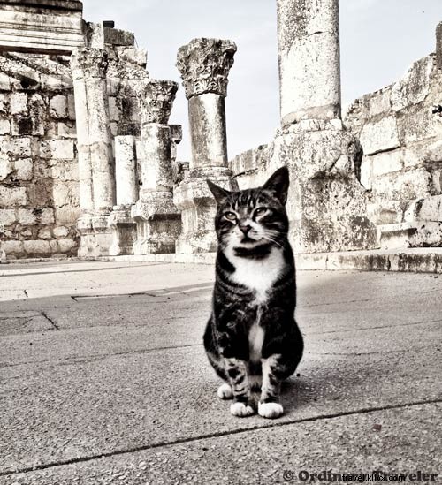 Is Israel Worth Visiting If You re Not Religious? A Traveler s Honest Experience