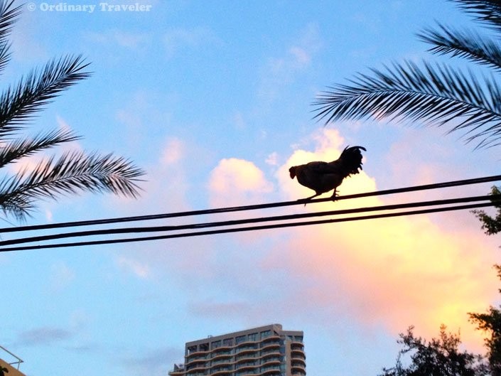 Is Israel Worth Visiting If You re Not Religious? A Traveler s Honest Experience