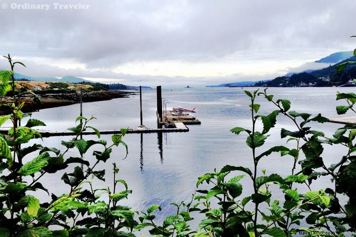 Discover Southeast Alaska s Hidden Wonders: Stunning Photos from Our Un-Cruise Adventure
