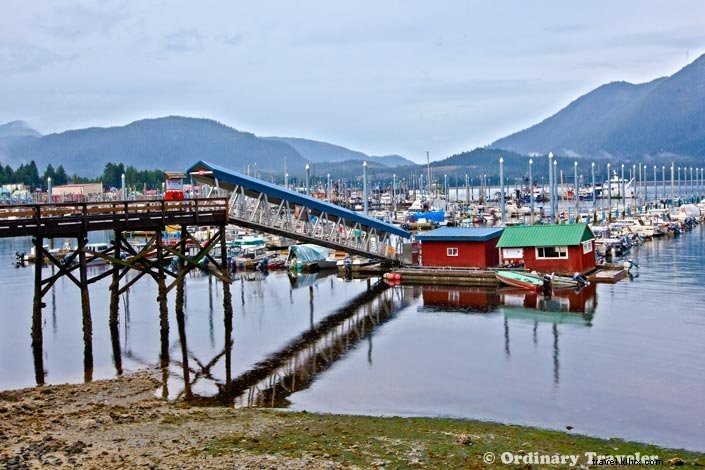 Discover Southeast Alaska s Hidden Wonders: Stunning Photos from Our Un-Cruise Adventure