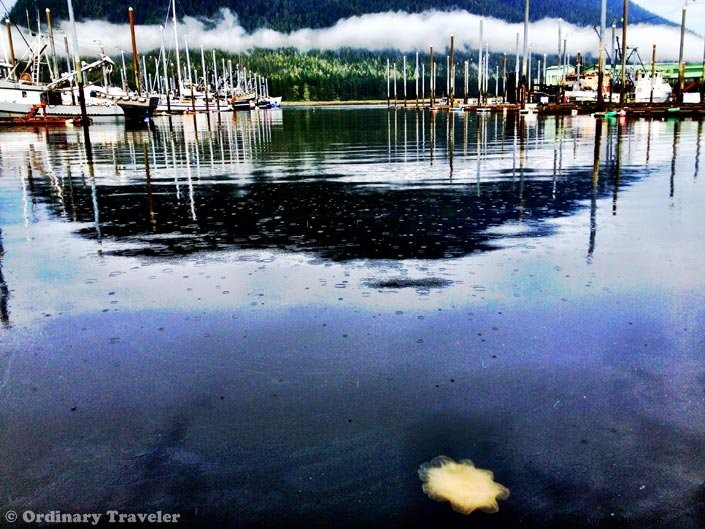 Discover Southeast Alaska s Hidden Wonders: Stunning Photos from Our Un-Cruise Adventure