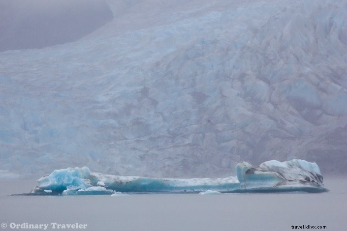 Discover Southeast Alaska s Hidden Wonders: Stunning Photos from Our Un-Cruise Adventure