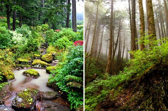 Discover Southeast Alaska s Hidden Wonders: Stunning Photos from Our Un-Cruise Adventure