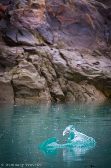 Discover Southeast Alaska s Hidden Wonders: Stunning Photos from Our Un-Cruise Adventure
