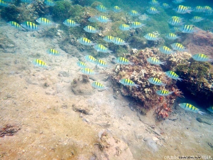 Villa del Palmar at the Beach & Villas Resort, Loreto: A Serene Escape on the Sea of Cortez