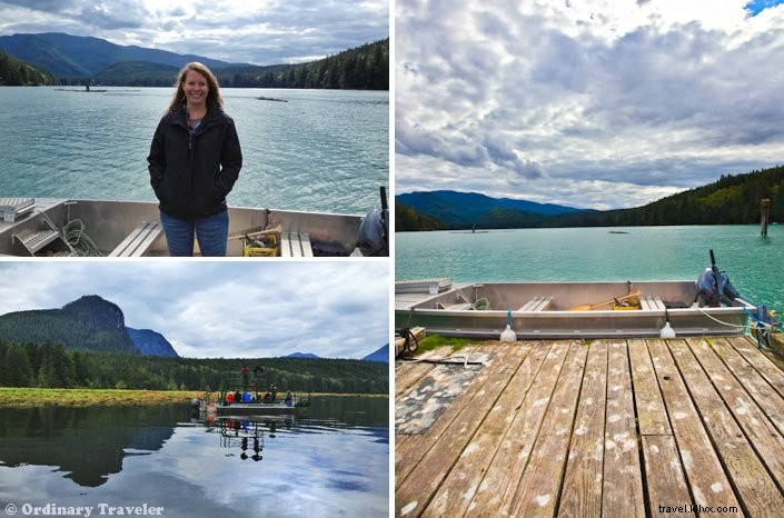 Up Close with Wild Grizzly Bears: A Thrilling Day in Glendale Cove, British Columbia