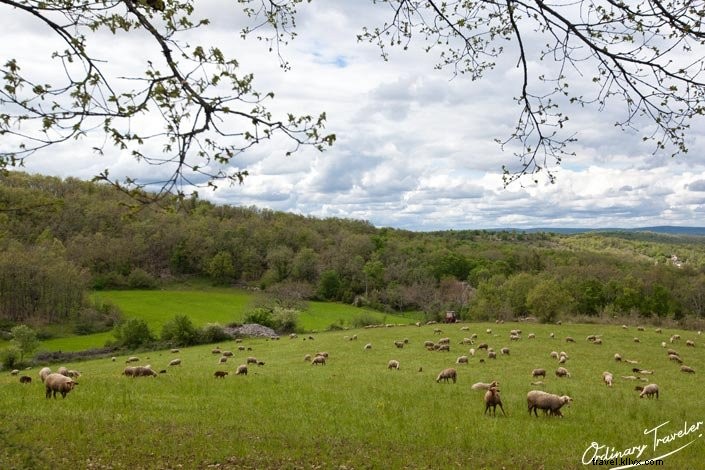 A Memorable Afternoon in Marcilhac-sur-Célé: Authentic Dining at Des Touristes in France s Lot Valley