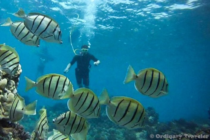 Lana’i Adventures: Thrilling Experiences Beyond Luxury Resorts