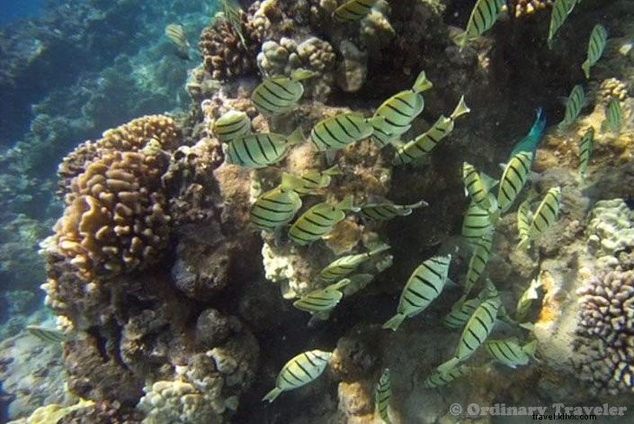 Lana’i Adventures: Thrilling Experiences Beyond Luxury Resorts