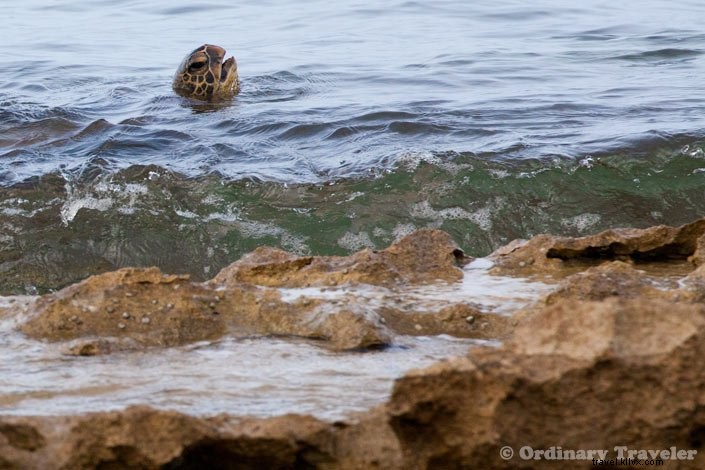 First Impressions of Lanai: Hawaii s Hidden Tropical Gem