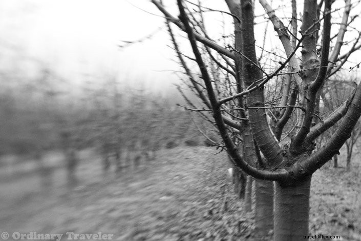 Master Surreal Photography: In-Depth Review of the Lensbaby Creative Effects Kit