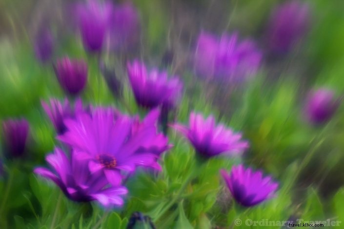 Master Surreal Photography: In-Depth Review of the Lensbaby Creative Effects Kit