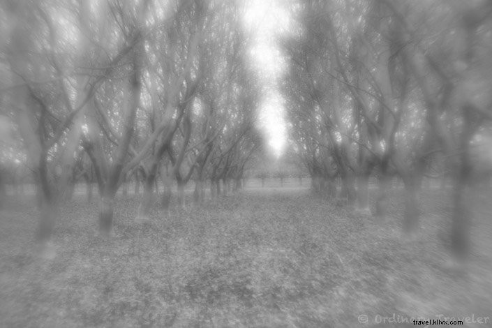 Master Surreal Photography: In-Depth Review of the Lensbaby Creative Effects Kit