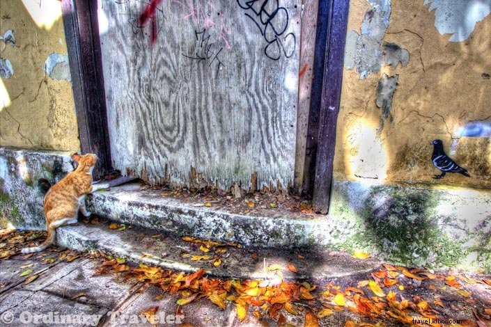 Captivating San Juan, Puerto Rico: A Firsthand Photo Journey Through Old San Juan, Fort San Cristóbal, and More