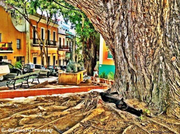 Captivating San Juan, Puerto Rico: A Firsthand Photo Journey Through Old San Juan, Fort San Cristóbal, and More