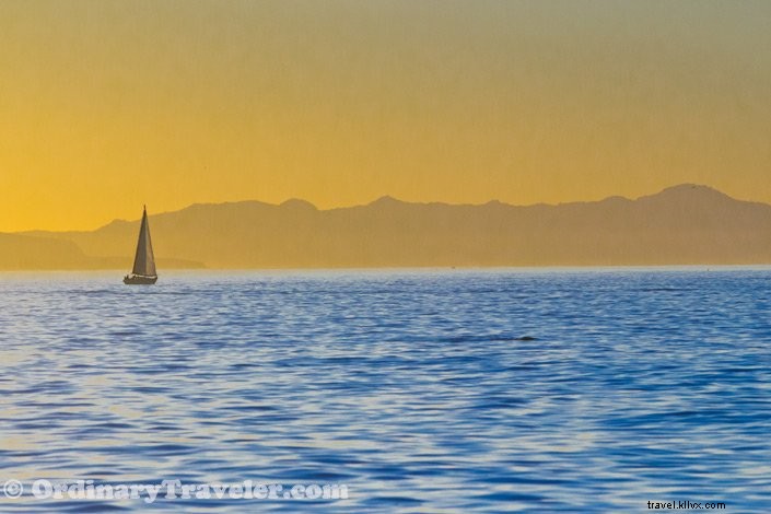 Witnessing Orcas Hunt Gray Whales and Dolphins: Our Unforgettable Whale-Watching Adventure (Part II)