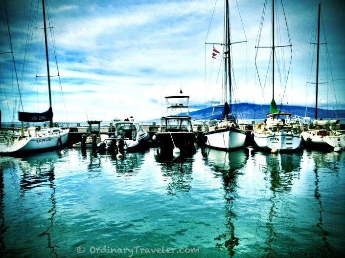 8 Compelling Reasons to Visit Maui, Hawaii: Insider Tips from Repeat Travelers